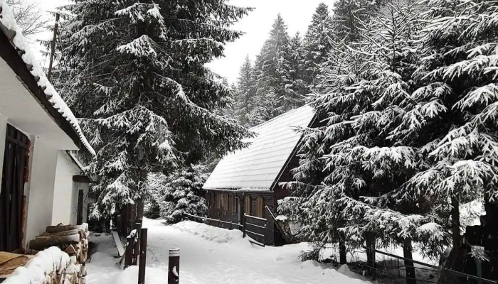Cabana Varciorog Arieseni -  Cabana - Vanvucești