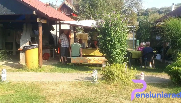 Cabanute Daniela Videoclipuri - Șuncuiuș