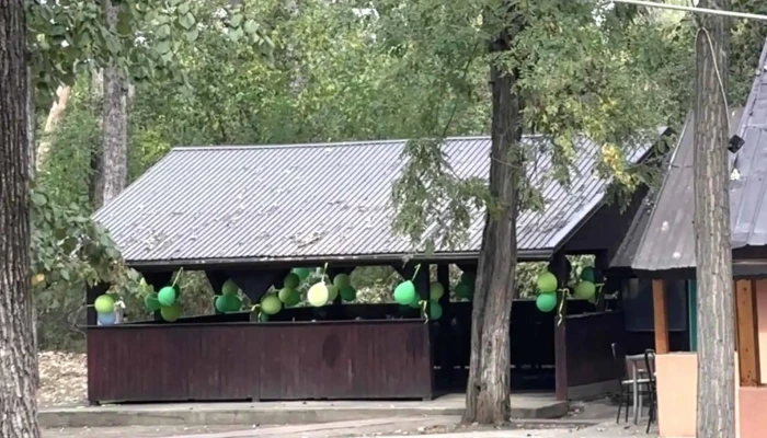 Cabanute Parc De Agrement Bragadiru Promoție - Bragadiru