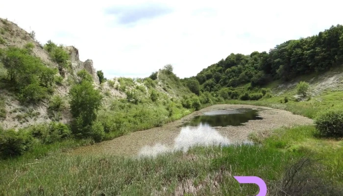 Caianu Mare Program - Căianu Mare