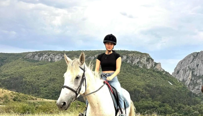 Calarie Sandulesti Prețuri - Săndulești