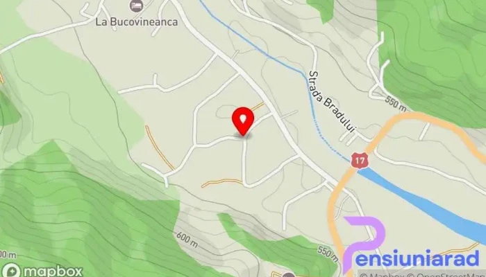 hartă a Calin Pensiune de familie în Vama