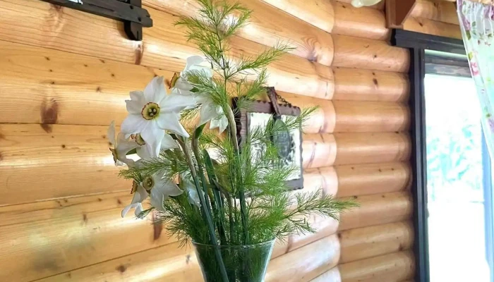 Camere De Inchiriat Ceahlau De La Vizitatori - Ceahlău