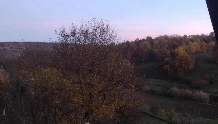 Camere De Inchiriat Nicutari Cacica - Cacica
