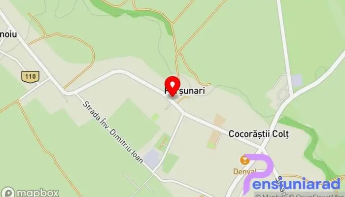 hartă a Căminul Cultural Cocorăştii Colț Sediul social în Cocorăștii Colț
