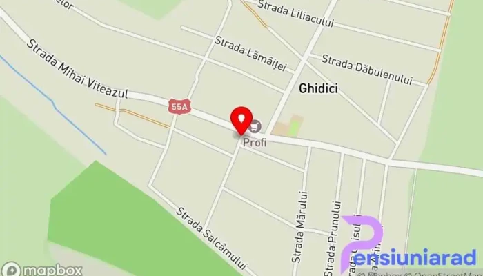 Caminul Cultural Hartă - Ghidici