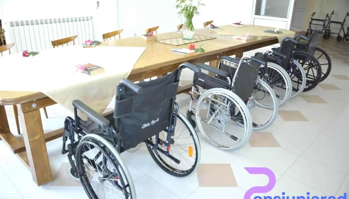 Caminul De Batrani Asociatia Gradina Bunicilor De La Proprietar - Luizi-călugăra