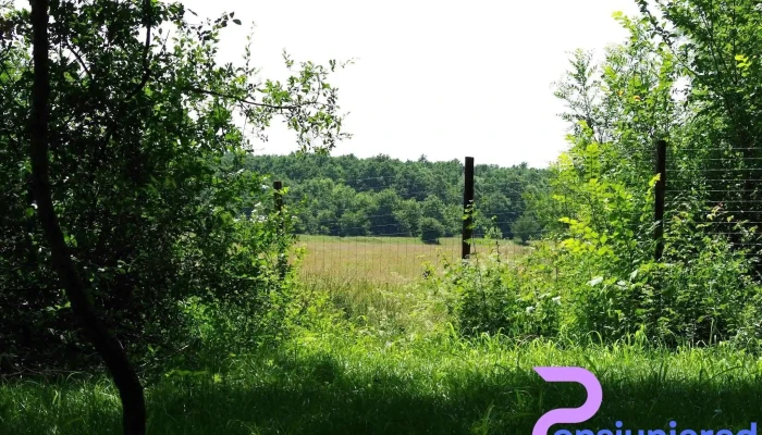 Camping Hakunamatata -  De La Proprietar - Gurbediu/bihor