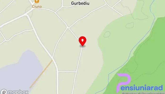 hartă a Camping Hakunamatata Teren de campare în Gurbediu/Bihor