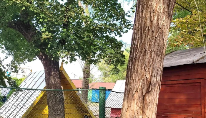 Camping Lacu Sarat -  Site Web - Brăila