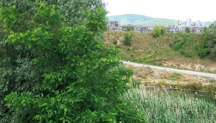 Camping Plaja Ghioroc -  Fotografii - Ghioroc