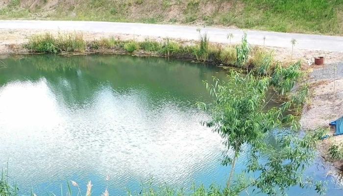 Camping Plaja Ghioroc -  Locație - Ghioroc