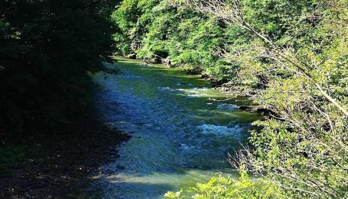 Camping Vadu Crisului De La Vizitatori - Vadu Crișului