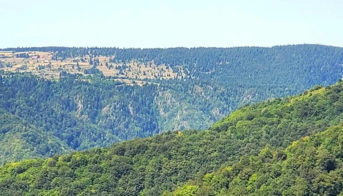 Campus Marisel Mărișel - Mărișel