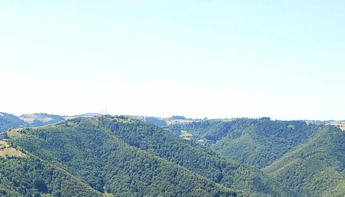 Campus Marisel Videoclipuri - Mărișel