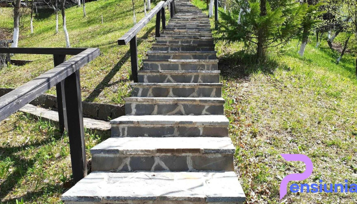 Caprioara De La Vizitatori - Talea