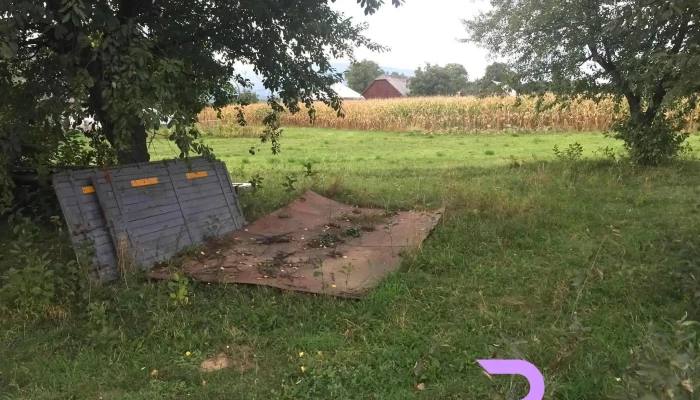 Capu Campului Aproape De Mine - Capu Câmpului