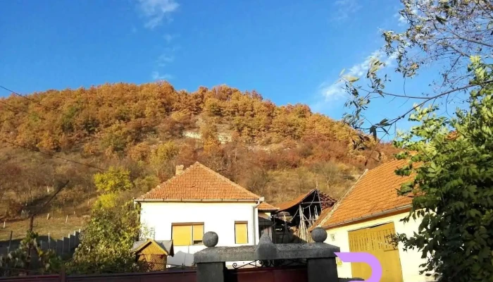 Cârjiți - Cârjiți