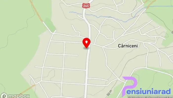 Carniceni Hartă - Cârniceni