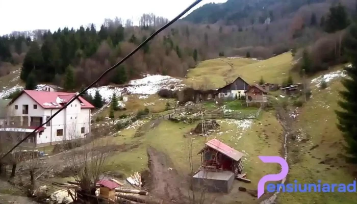 Casa Adina -  Exterior - Podul Dâmboviţei