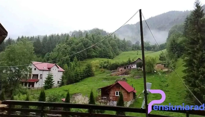 Casa Adina -  Zonă - Podul Dâmboviţei