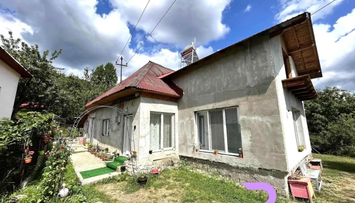 Casa Aly - Nucșoara 117540