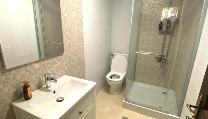 Casa Ambientt -  De La Proprietar - Albeștii Pământeni