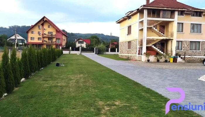Casa Ambientt -  De La Vizitatori - Albeștii Pământeni