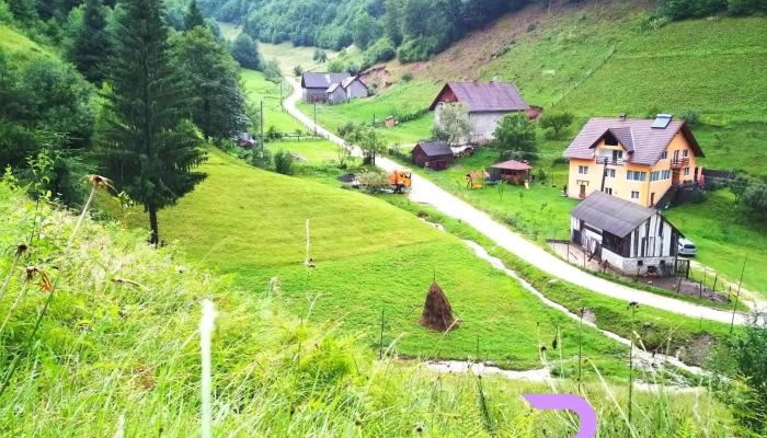 Casa Anca Si Nicusor Exterior - Poiana Mărului
