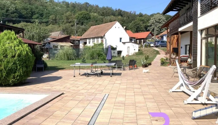 Casa Artemis -  De La Vizitatori - Pianu De Sus