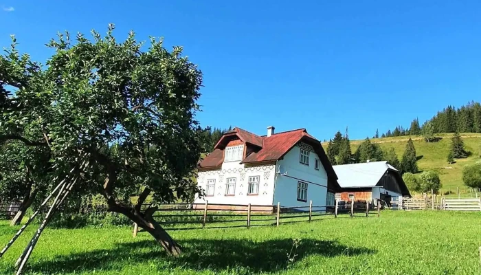 Casa Aureliana -  De La Vizitatori - Ciocănești