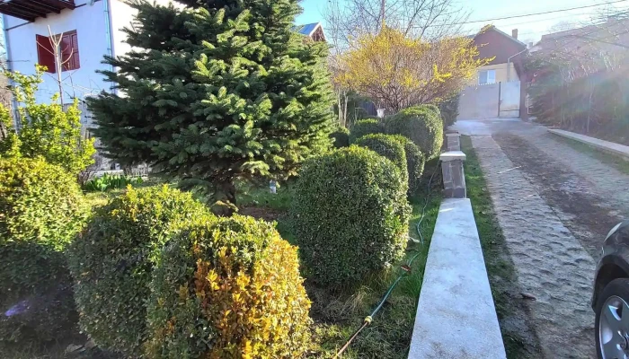 Casa Bunicii Comarnic -  De La Vizitatori - Comarnic