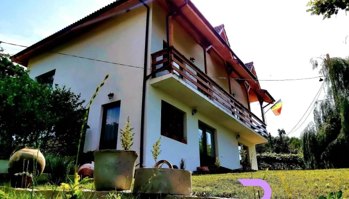 Casa Bunicului -  Cabana - Baia De Fier