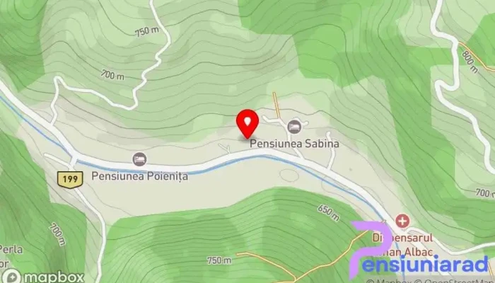 hartă a Casa Cristalina&Dumi Hotel în Albac