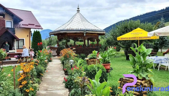 Casa Cristina Sadova -  Locație - Sadova