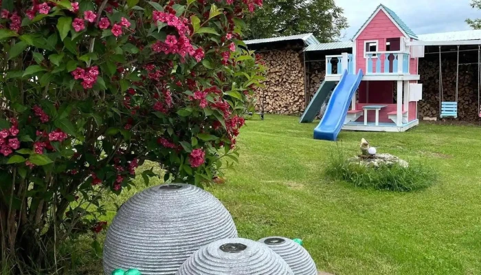 Casa Cu Elefanti De La Vizitatori - Corbșori