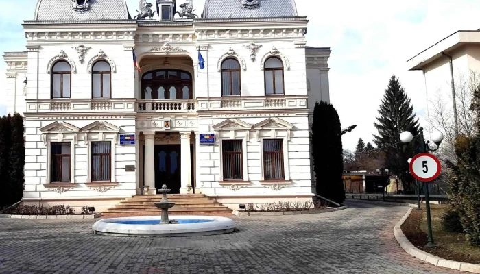 Casa Cu Grifoni Din Campina Fotografii - Câmpina