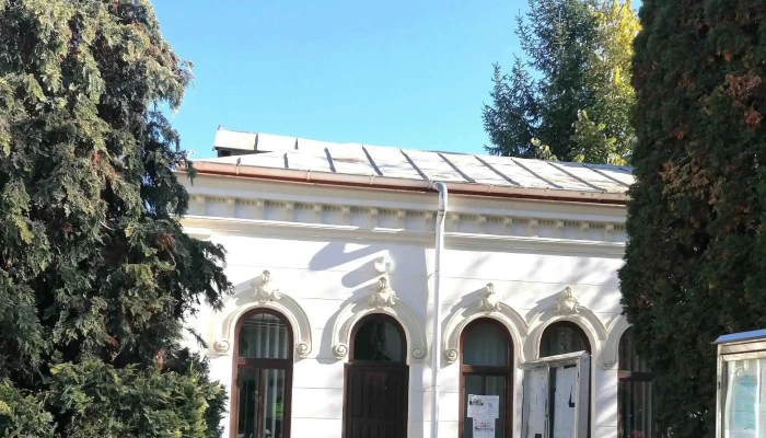 Casa Cu Grifoni Din Campina Site Web - Câmpina