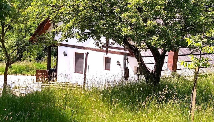 Casa De Hogina Maria Exterior - Valea Borcutului