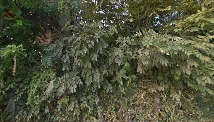 Casa De Vacanta Clara Maria -  Street View Si 360deg - Comarnic