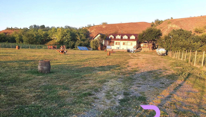 Casa De Vacanta Laura3 De La Vizitatori - Peceneaga