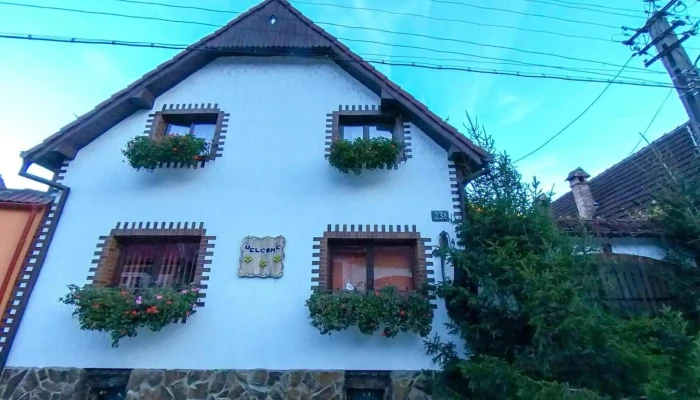 Casa De Vacanta Vidrighin -  Street View Si 360deg - Râu Sadului