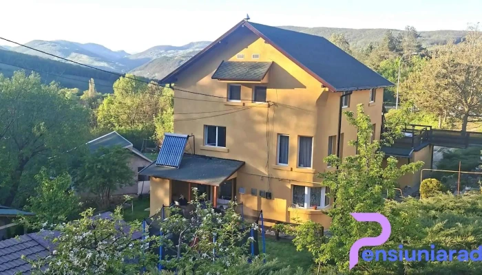 Casa Decebal - Cazare Geoagiu Băi - Geoagiu-Băi 335450