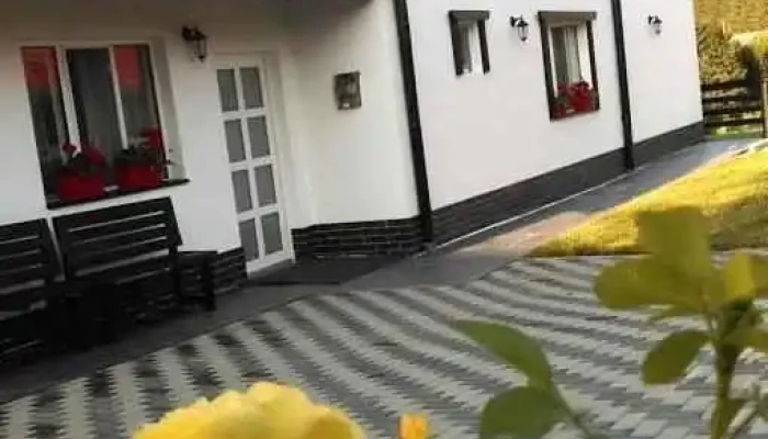 Casa Din Bucovina -  Exterior - Păltinoasa