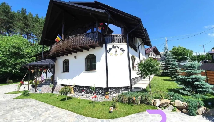 Casa dintre pini - Păltinoasa 727415