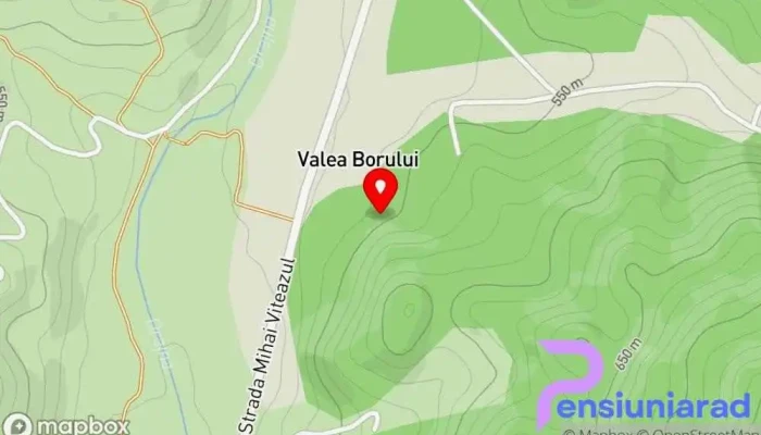 hartă a Casa Dumitru Cerasu Vilă în Cerașu