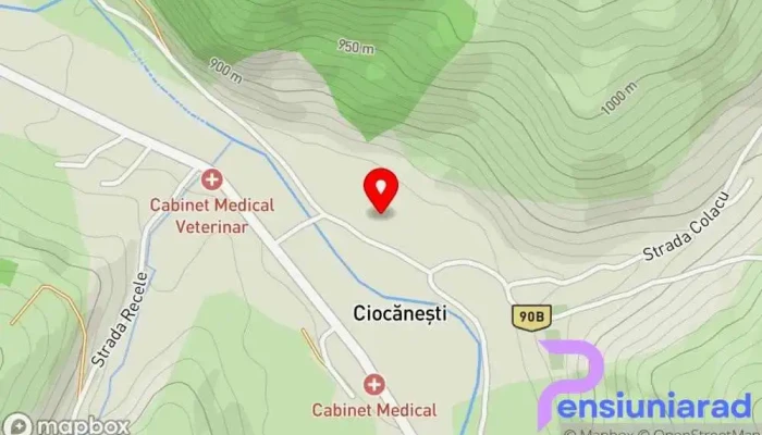 hartă a Casa Dumitru și Elena Unitate de cazare rurală în Ciocănești