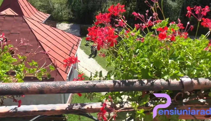 Casa Eliza -  Exterior - Podu Dâmboviței