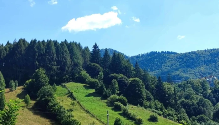 Casa Eliza -  Unde - Podu Dâmboviței