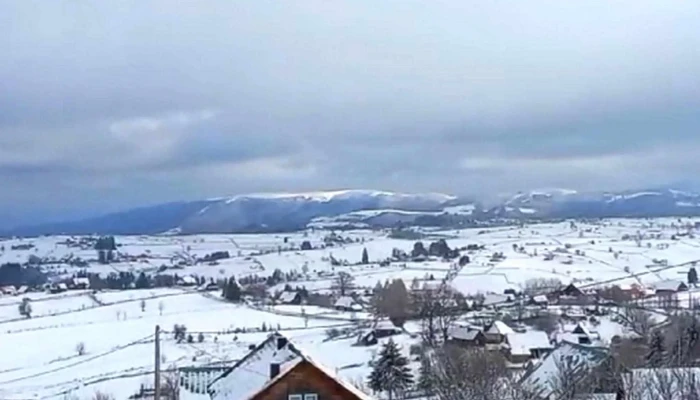 Casa Ella -  Număr - Mărișel